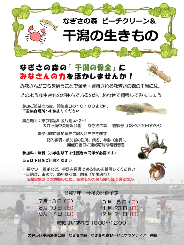 ビーチクリーン　7～12月のサムネイル